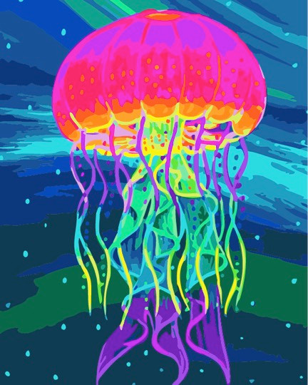 Paint by Numbers 40x50cm Colourful Jellyfish
