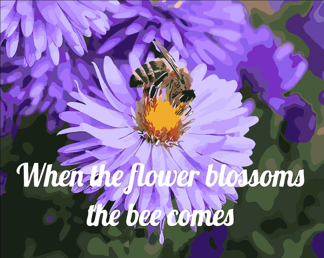 Painting by Numbers 40x50cm When the Flower Blossoms the Bee Comes