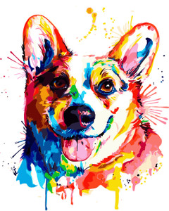 Colourful Corgi Colourful Corgi