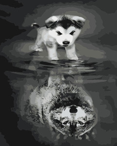 Stronger Reflection 2 Stronger Reflection 2