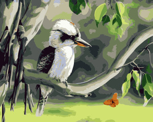 Aussie Kookaburra Aussie Kookaburra