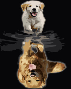 Golden Retriever Golden Retriever