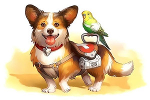 Dr.Dog Paint by Numbers 20x30cm Kit Dr.Dog Paint by Numbers 20x30cm Kit