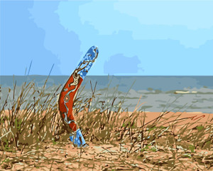 Boomerang Beach Paint by Numbers Kit Boomerang Beach Paint by Numbers Kit