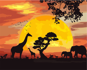 Sunrise Animals Kingdom Sunrise Animals Kingdom