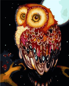 Night Owl Paint by Numbers Night Owl Paint by Numbers