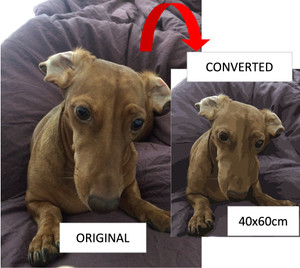 CUSTOM PAINT BY NUMBERS with FRAME