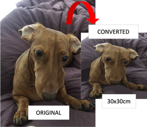 CUSTOM PAINT BY NUMBERS with FRAME