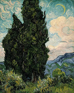 Cypresses by Van Gogh Cypresses by Van Gogh