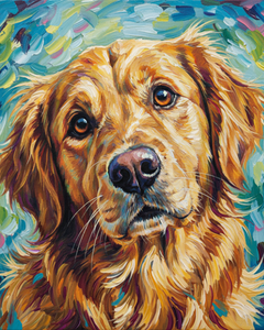 Curious Soul Curious Soul