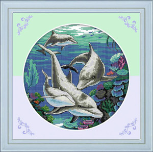 Classical Dolphins Classical Dolphins