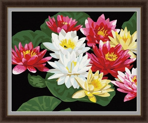 Pink & white lotus 40x50cm paint by numbers Pink & white lotus 40x50cm paint by numbers