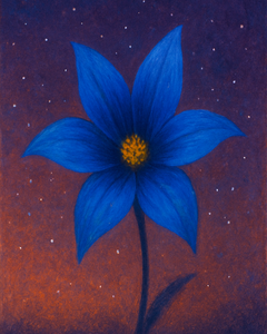 Blue Star Bloom at Twilight