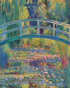 Colourful Water Lily Pond