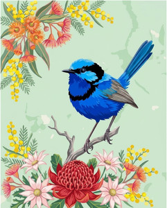 Blue Wren