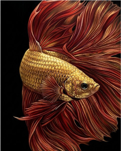 Majestic Golden Betta Fish