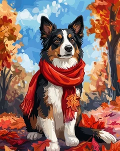 Border Collie in Autumn Wind