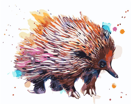 Colourful Echidna Paint by Numbers