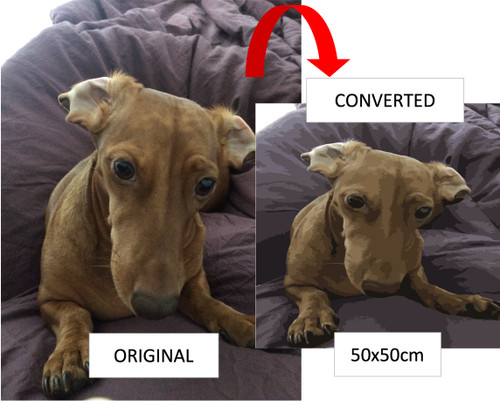 CUSTOM PAINT BY NUMBERS with FRAME CUSTOM PAINT BY NUMBERS with FRAME