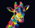Colourful Giraffe 2 Paint by Numbers Colourful Giraffe 2 Paint by Numbers