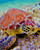 The Majestic Turtle Paint by Numbers