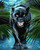 Black Panther Black Panther