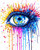 Colourful Eye 2 Paint by Numbers Kit - 40x50cm