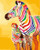 Colourful Zebra Father and Son Paint by Numbers Kit - 40x50cm