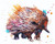 Colourful Echidna Paint by Numbers