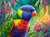 Rainbow Lorikeet - Made to Order Paint by Numbers