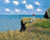 Cliff Walk at Pourville by Monet