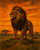 Majestic Lion at Sunset