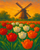 Tulips in a Dutch Windmill Garden