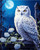 White Owl