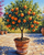 Orange Tree in a Pot