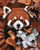 Camouflage Red Panda