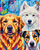 Colourful Woofs