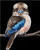 Many Feathered Friend