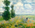 Poppy Field at Argenteuil 1875 by Monet