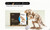 3D Wooden Puzzle - Majestic T-REX