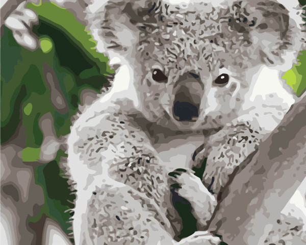 Fluffy Koala Paint by Numbers Kit Fluffy Koala Paint by Numbers Kit