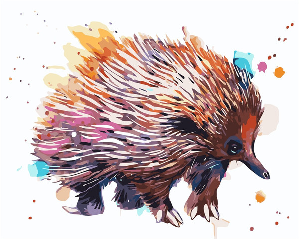 Colourful Echidna Paint by Numbers