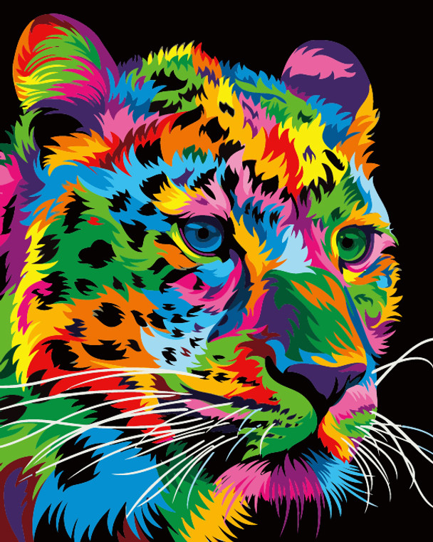 Colourful Jaguar Colourful Jaguar