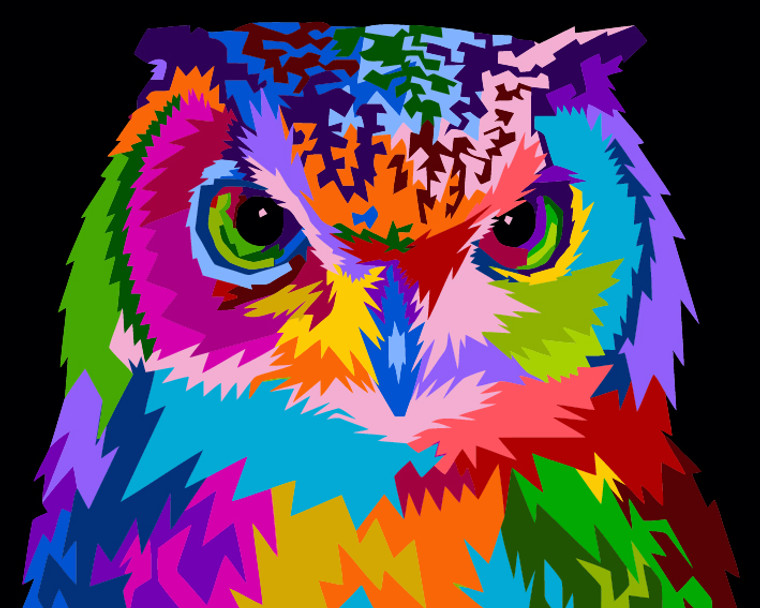 Colourful Owl