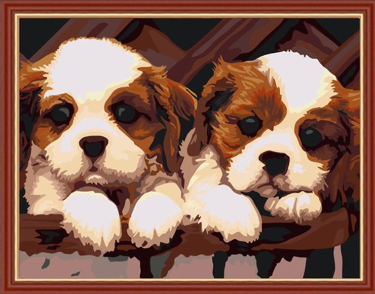 Two Brown & White Puppies