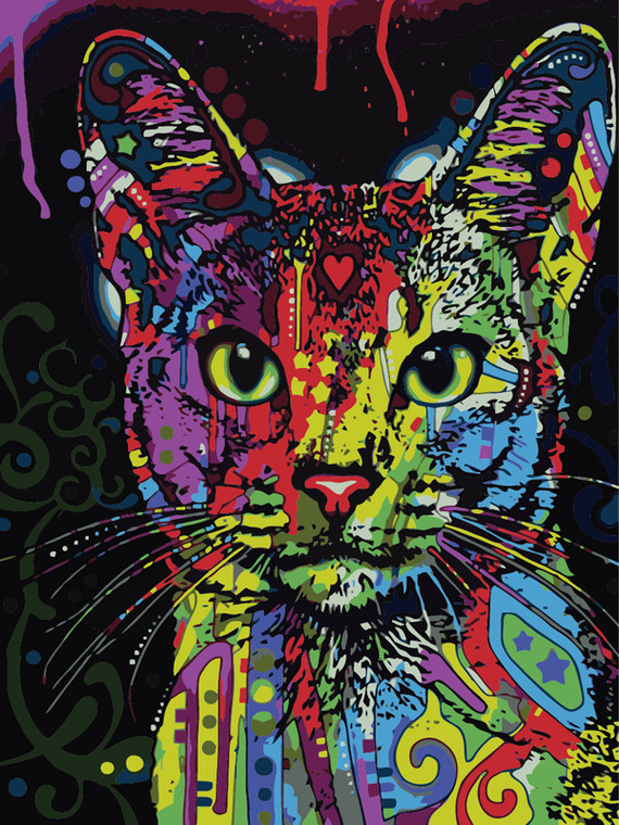 Colourful Artistic Cat Paint by Numbers 40x50cm Kit