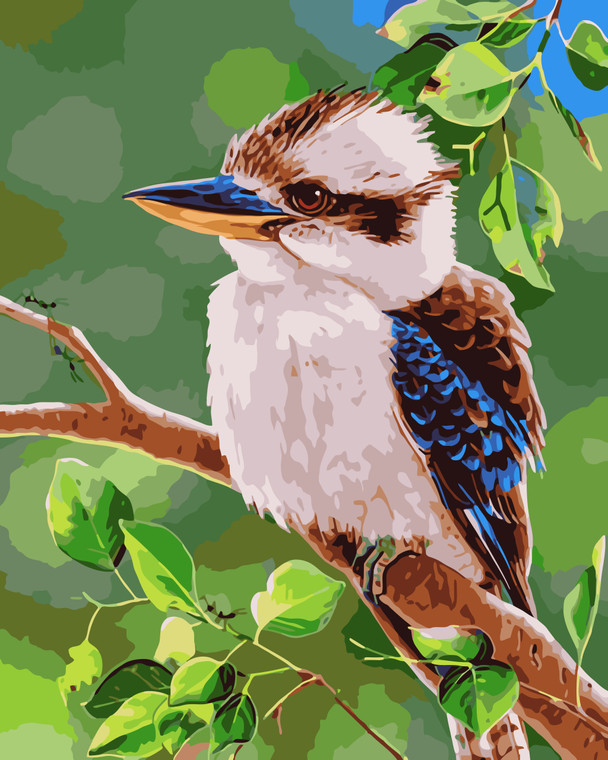 Kookaburra on Tree Paint by Numbers Kit