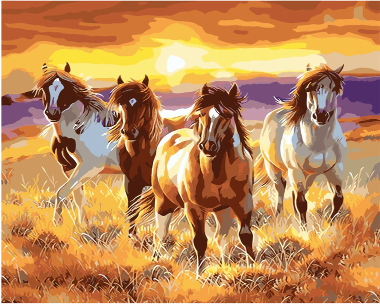 Four Stallions Paint by Numbers