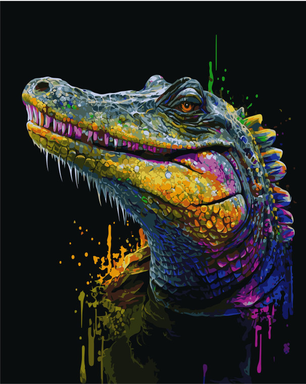 Colourful Crocs Paint by Numbers