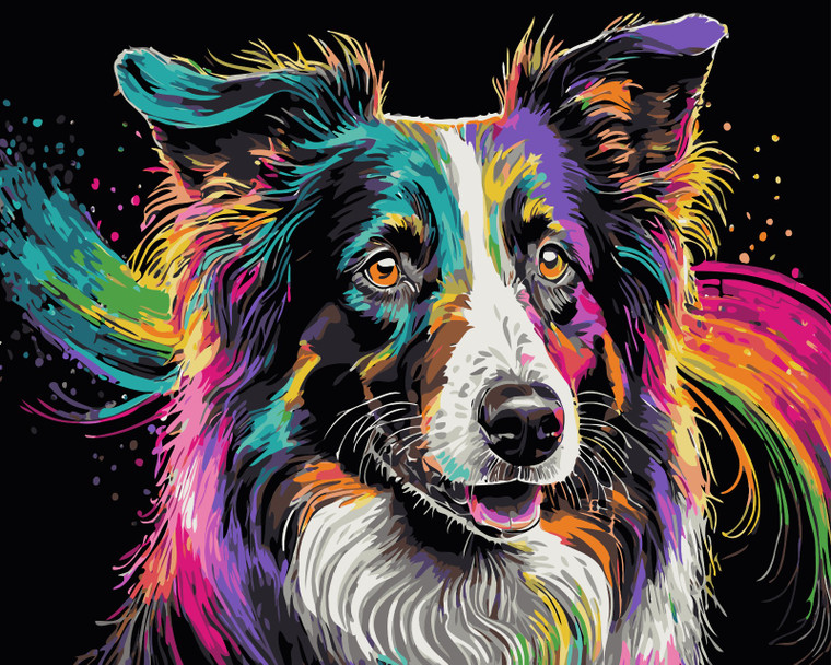 Colourful Border Collie - Made to Order Paint by Numbers